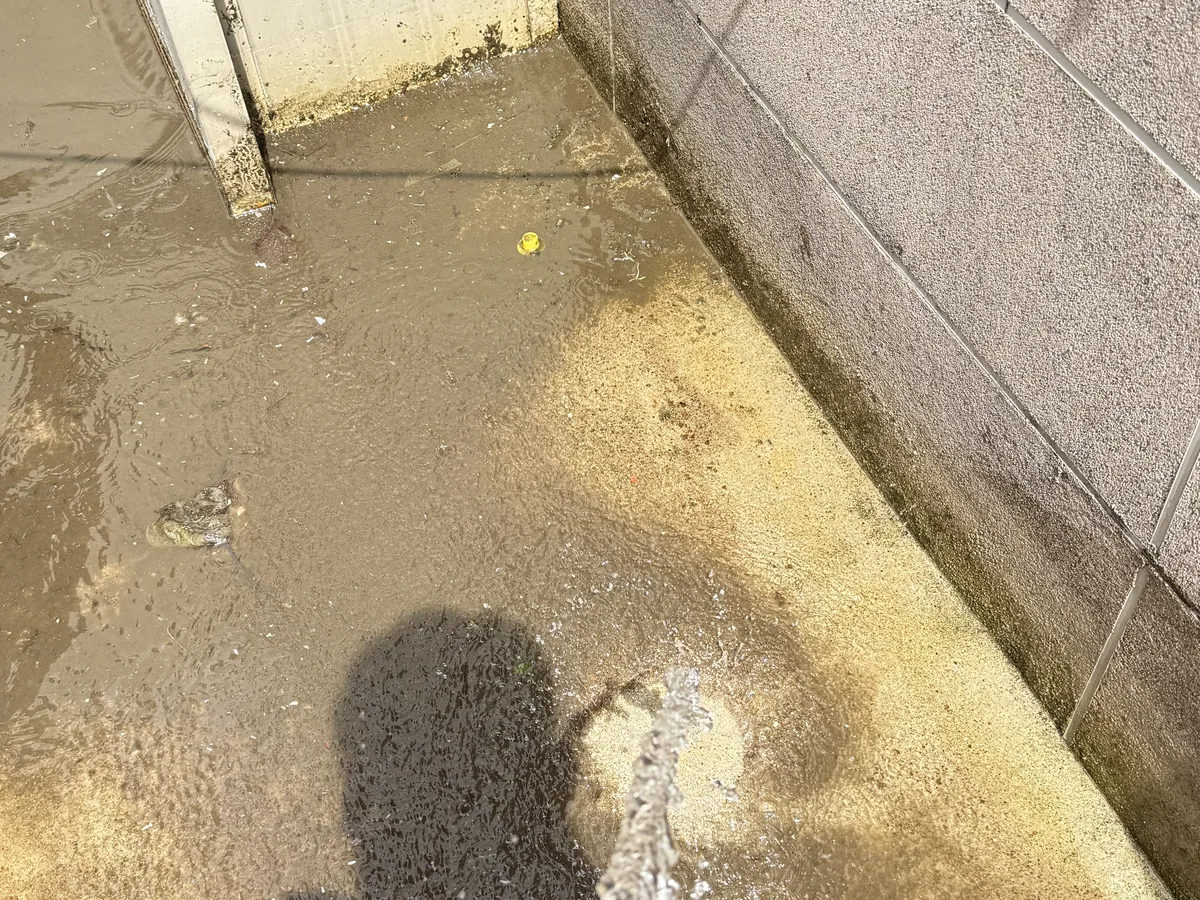 보은군 수한면 배관 관리실·기계실 위생청소 사례 - 행진크린